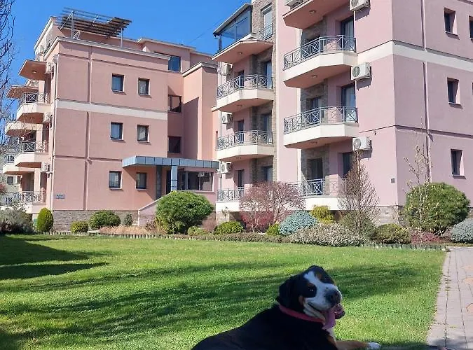 Apartament Ivana Vrnjačka Banja