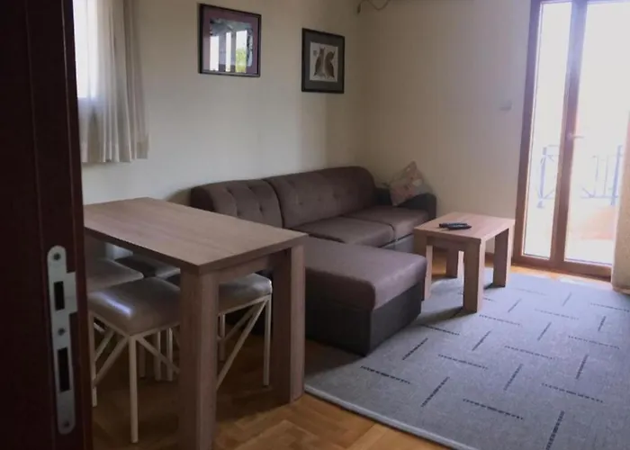 Apartament Ivana *
