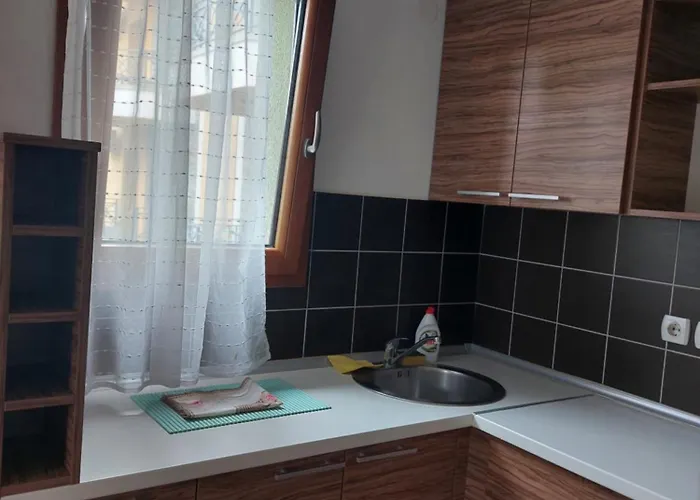 Apartament Ivana Vrnjačka Banja